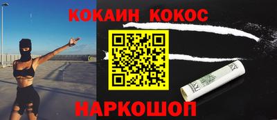 крисы Шебекино