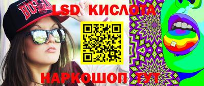 крисы Шебекино
