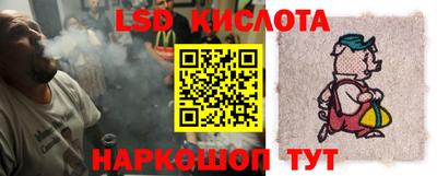 крисы Шебекино