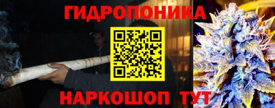 PSILOCYBIN Шелехов