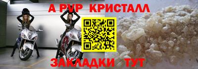 крисы Шебекино