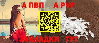 крисы Шебекино