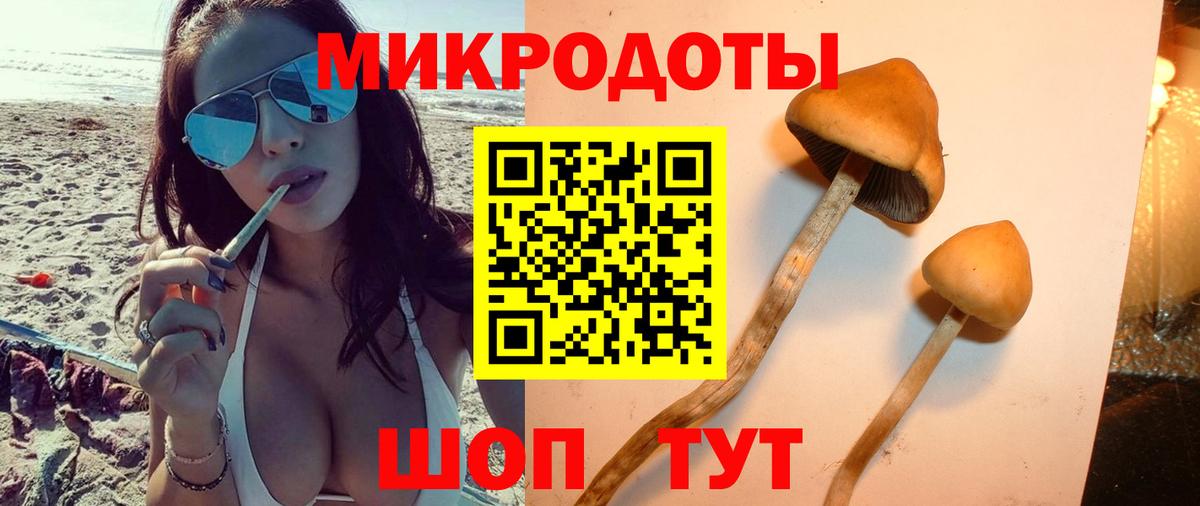 Галлюциногенные грибы Magic Shrooms Малоярославец