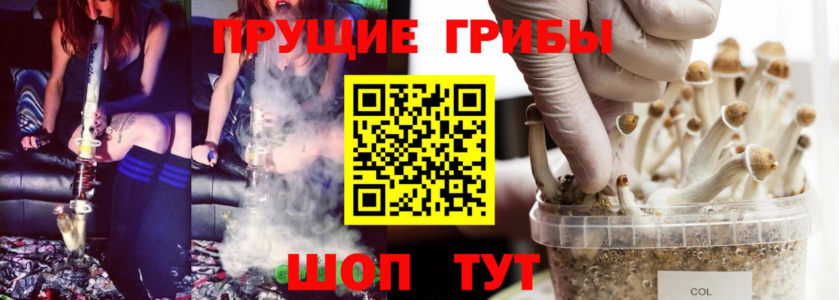 Малоярославец  Псилоцибиновые грибы GOLDEN TEACHER  Вход с VPN  Псилоцибиновые грибы мухоморы 